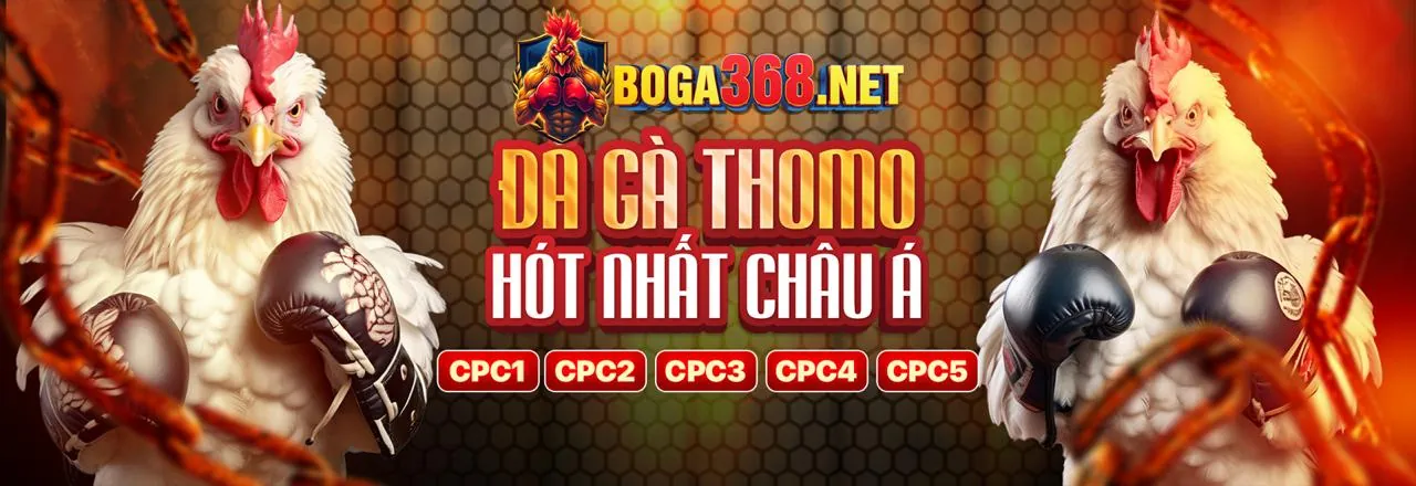 Tin tức tai xin88 mới nhất 2026
